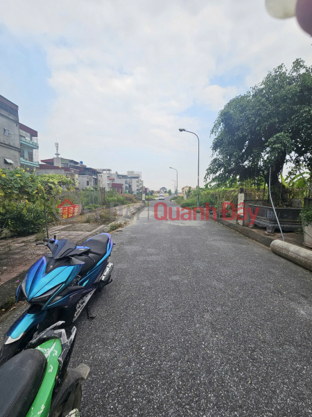 LAND LOT FOR SALE IN DONG HUNG DISTRICT 81M NEAR DONG HUNG HOSPITAL FOR LESS THAN 2 BILLION Sales Listings