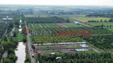 Rare find - Super beautiful garden land in Thu Thua, priced at 789 million VND \/ area 1000 sq m. _0