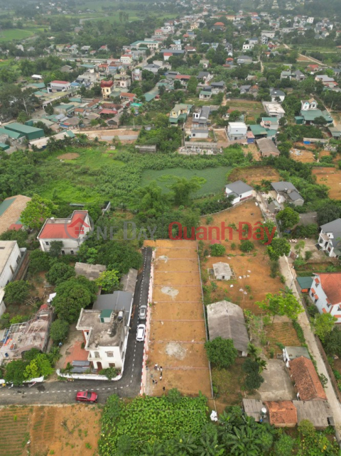 2 tỷ sở hữu ngay đất Phú Cát - Ô tô vào tận cửa - Gần trung tâm - Tiện ích xung quanh - Giá mềm _0