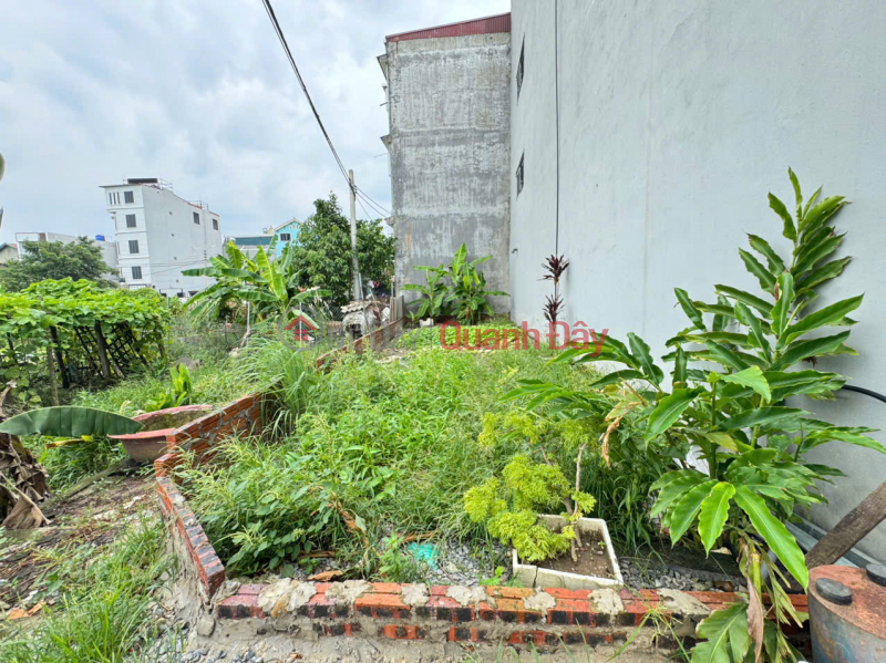 Property Search Vietnam | OneDay | Nhà ở | Niêm yết bán, Đất đẹp tổ 5 (cũ),Quang Minh, Mê Linh. Lô góc, 2 mặt thoáng, mặt tiền kinh doanh đẹp