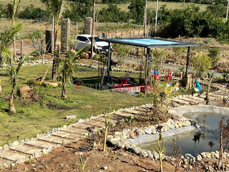 Property Search Vietnam | OneDay | Residential Sales Listings, SUPER BEAUTIFUL LAND - INVESTMENT PRICE - Need to sell a plot of land in Phuoc Trung commune, Ninh Thuan