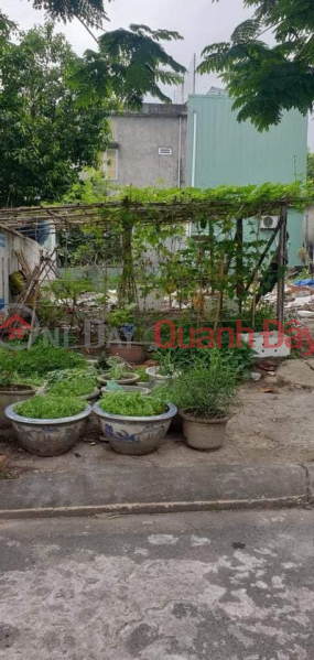 Property Search Vietnam | OneDay | , Sales Listings, The Northeast is cool, the land is clean and beautiful. Near the sea, near the market, the school c2.