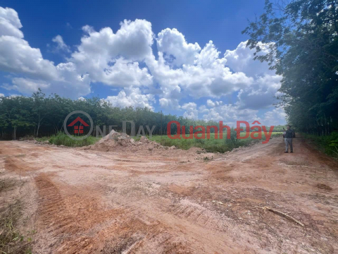 Beautiful Land - Good Price - Owner Needs to Sell a Plot of Land in a Beautiful Location in Thanh Binh Commune, Tan Bien District, Tay Ninh _0