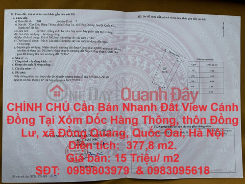 OWNER Needs to Quickly Sell Land Lot with Field View in Dong Quang Commune, Quoc Oai District, Hanoi City _0