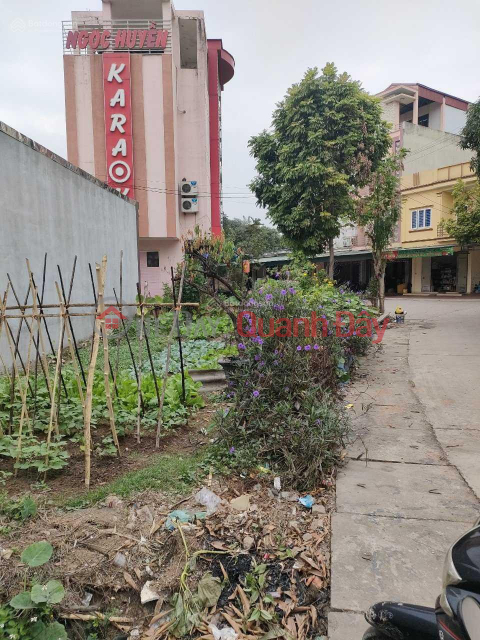 For sale plot of land 85m2, 5m frontage at Minh Phuong, Viet Tri, Phu Tho, 0394 827 798 _0