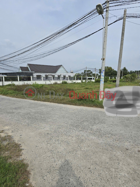 Property Search Vietnam | OneDay | Residential | Sales Listings Owner Sells 177.1m2 of Concrete Front Land at Phap Tuyen Pagoda, Duc Hoa Thuong, Duc Hoa District, Long An