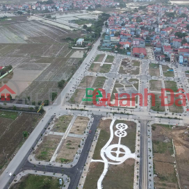 Auction of land in Thuy Lam commune, Dong Anh district, Hanoi at the cheapest price in 2024 _0