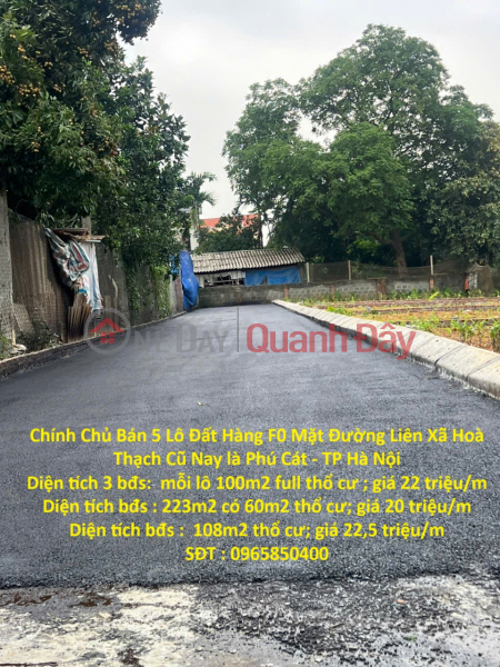 Owner Sells 5 F0 Land Plots on the Old Lien Xa Hoa Thach Street, Now Phu Cat - Hanoi City Sales Listings