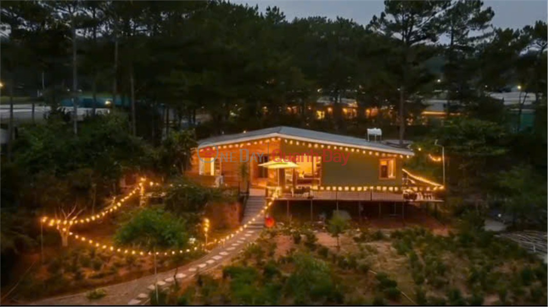 RESORT LAND – PINE FOREST VIEW – BEAUTIFUL PLOT FOR SALE IN VAN THANH, CAM LY WARD, DA LAT CITY, LAM DONG PROVINCE Sales Listings