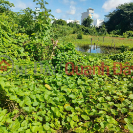 Chính Chủ Bán Đất 2 Mặt Tiền Vườn Cây Lâu Năm Tại Phường Châu Phú B, TP Châu Đốc, An Giang. _0