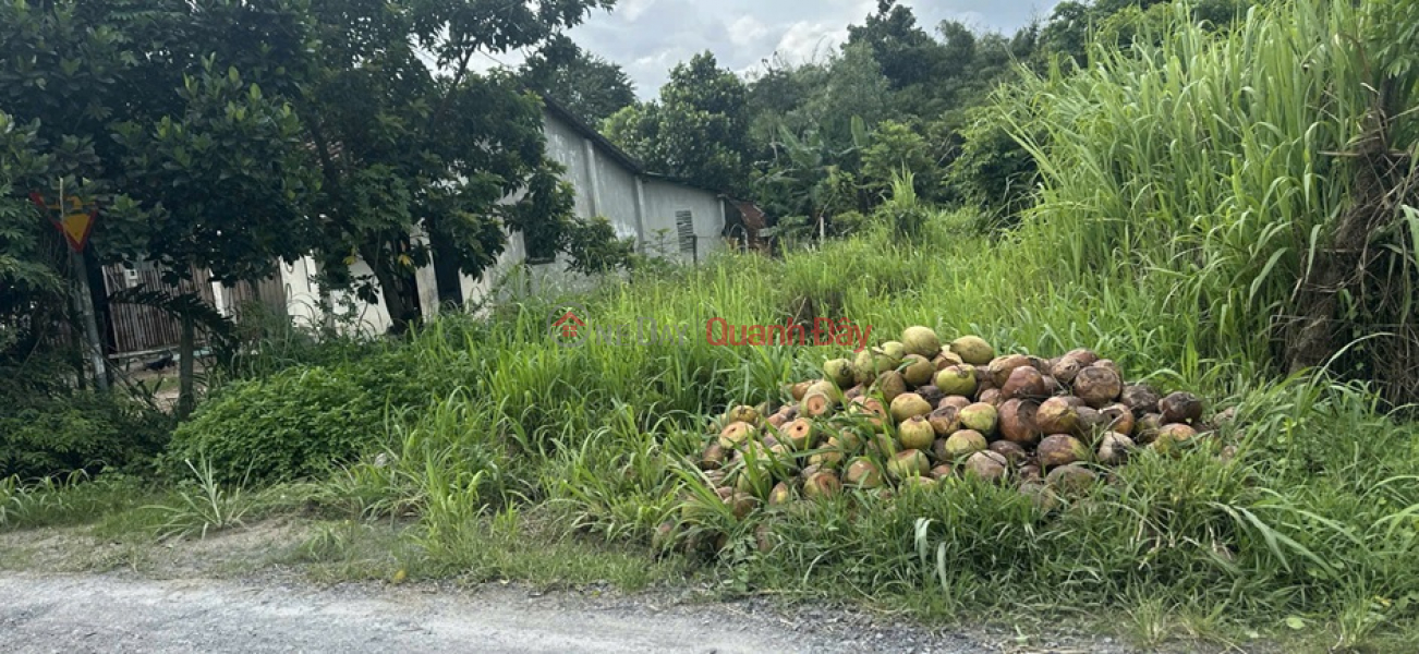 Property Search Vietnam | OneDay | Residential | Sales Listings OWNER'S LAND - GOOD PRICE, NEED TO SELL QUICKLY A STREET FRONT LOT IN Cu Chi District, HCMC