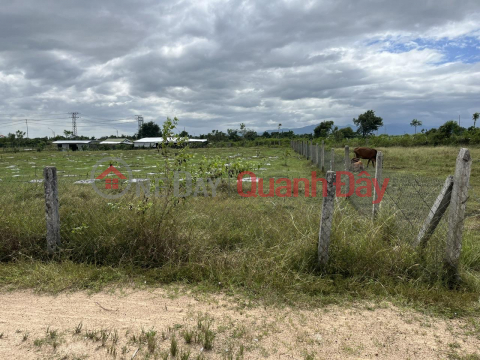 OWNER NEEDS TO SELL Land Plot URGENTLY Beautiful Location in Quang Son, Ninh Son, Ninh Thuan _0