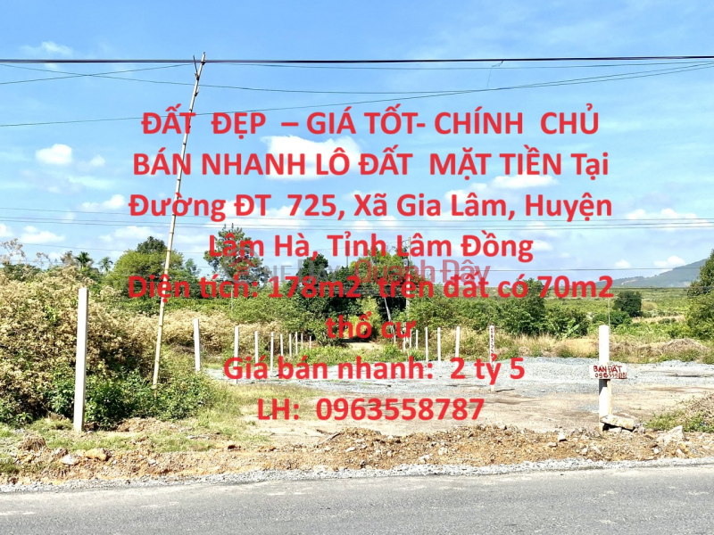 BEAUTIFUL LAND - GOOD PRICE - OWNER QUICK SELLING FRONT LOT OF LAND AT DT 725 Street, Gia Lam Commune, Lam Ha Sales Listings