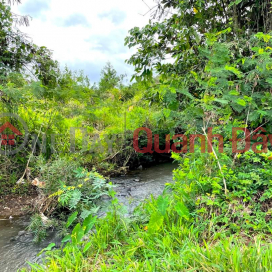 Owner sells garden land in Binh Trung, Chau Duc, BRVT at a loss _0