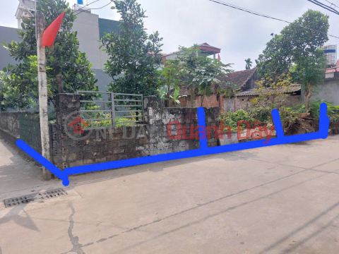 CHÍNH CHỦ cần bán 100m2 đất ở - Trung tâm thị trấn Phúc Thọ, Hà Nội - Đường ô tô tránh _0