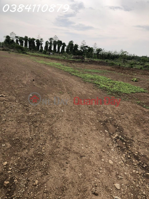 READY 12HA FARM, Dak Ngo, FULL LICENSE, CONSTRUCTION AND FARMING, 23 BILLION _0