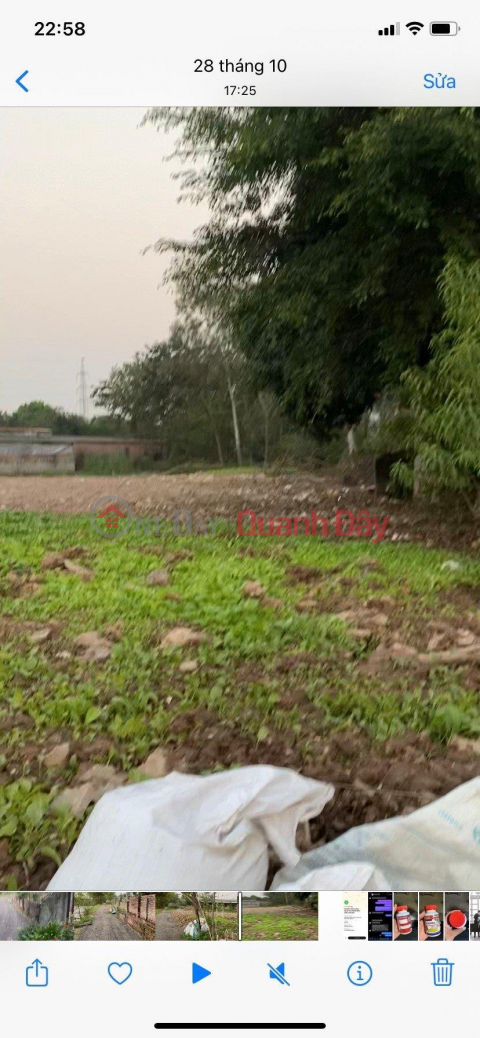 BEAUTIFUL LAND - GOOD PRICE - Owner Advertises Need Money For Investment Urgent Sale Land Plot In Ta Thanh Oai _0