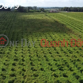 63HA FARM FOR SALE, TUY DUC Dak NONG, 45 BILLION _0