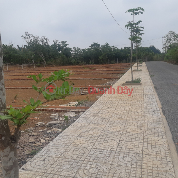 Property Search Vietnam | OneDay | Residential, Sales Listings | Land near Long Thanh Dong Nai airport 140m2 residential price 350 million