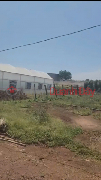 đ 3.25 Billion House and garden for sale, 1000m2, Duc Trong – Lam Dong - price 3.25 billion VND.