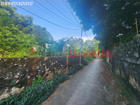 Land for sale in Phong Son town, Cam Thuy district, Thanh Hoa province _0