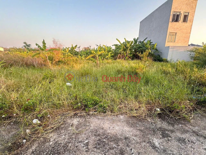 Rare price 6xx million – Lot 58.5m² Bien Hoa, car alley, beautiful rear expansion – ZALO 0567 222 555 Sales Listings