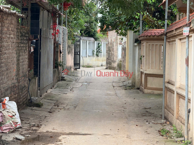 Bán 50,5m đất thôn Tráng Việt, xã Tráng Việt, Mê Linh. Đón sóng cầu Thượng Cát | Việt Nam, Bán | đ 2,35 tỷ