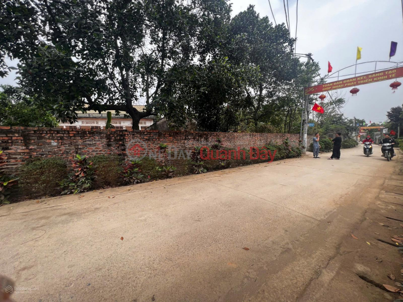 Property Search Vietnam | OneDay | Residential | Sales Listings Land for sale at DT 414, Tan Linh Commune, Ba Vi, Hanoi, 10 million \\/ m2, 300m2 corner lot with 2 street frontages