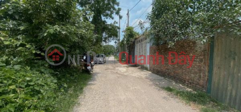 Land for sale in Vinh Hung, 46m2, beautiful lot, car, hammock, and house _0