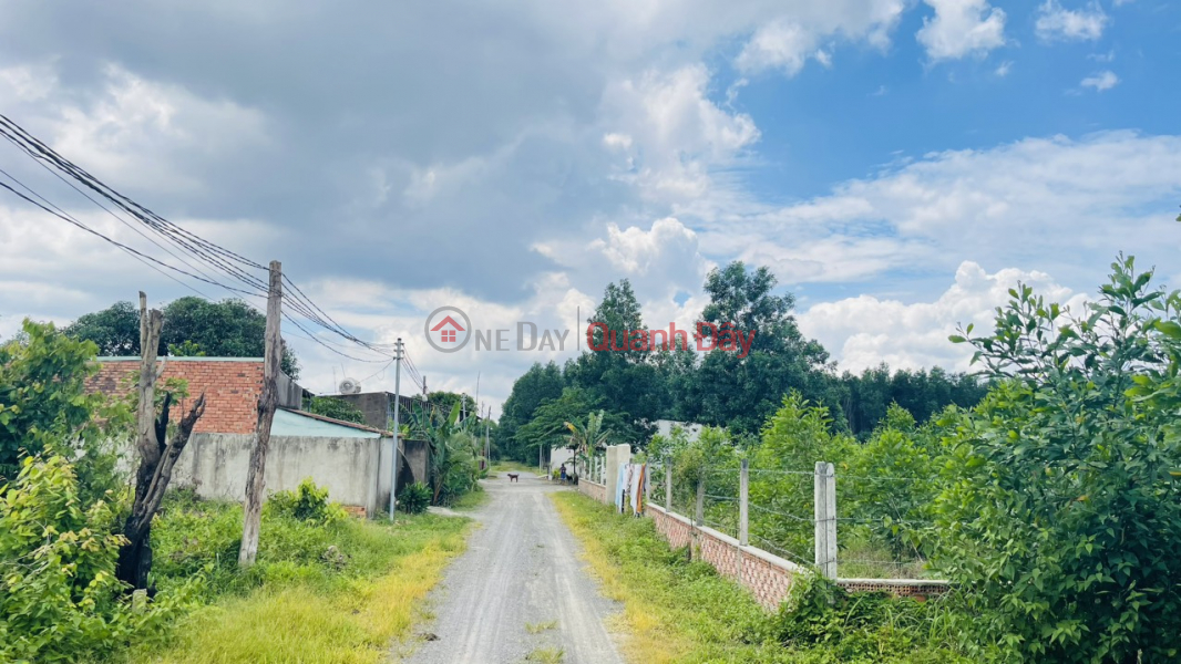 ₫ 6.2 Billion | Owner Quickly Sells Lot of Land in Beautiful Location in Long An Commune, Long Thanh District, Dong Nai