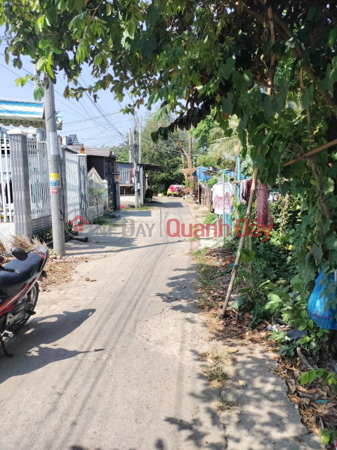 BEAUTIFUL LAND - INVESTMENT PRICE - OWNER For Sale Land Lot In My Quy - Long Xuyen City - An Giang _0