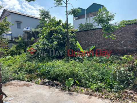 CHÍNH CHỦ BÁN ĐẤT XÃ THUẬN AN - HÀ NỘI, DIỆN TÍCH 45.5 M2, GIÁ 2.3 TỶ _0