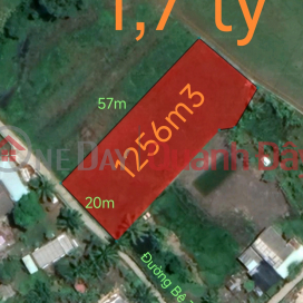 Urgent sale of rice land plot An Nhut Tan Tan Tru for 1.7 billion _0