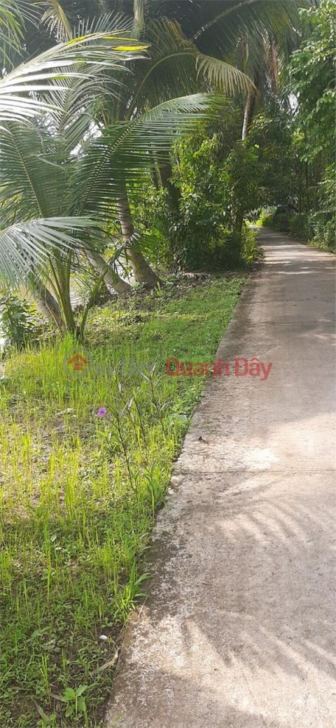Owner Quickly Sells Land Lot, Beautiful Location In Hiep Loi Ward, Nga Bay City, Hau Giang Province _0