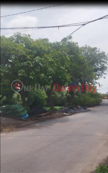 House and land for sale in Sa Dec Flower Village - Tran Khanh Du Street, 10m frontage, price 2.8 billion VND. Vietnam, Sales | đ 2.8 Billion