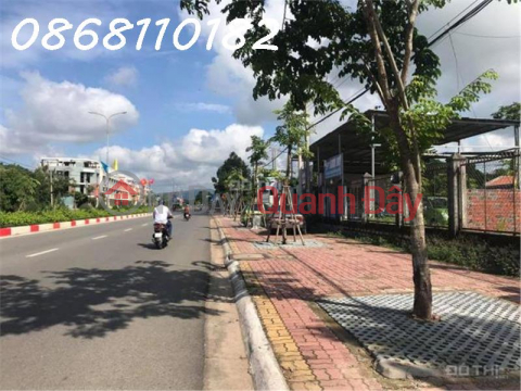 The owner needs to sell land facing Duong Bach Mai street, Long Dien, BRVT _0