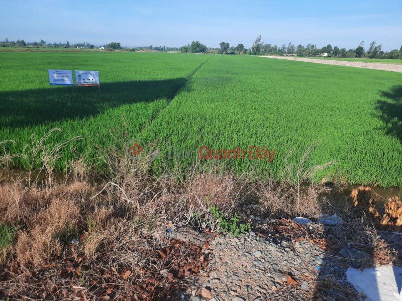 Property Search Vietnam | OneDay | Residential | Sales Listings, OWNER Needs to Sell Land on Provincial Road 919 In Dong Binh Commune, Thoi Lai, Can Tho