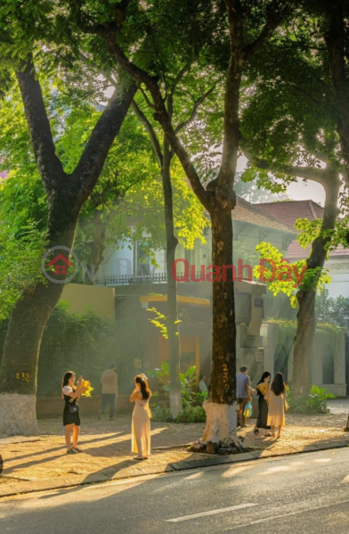 DIRECTOR PHAN DINH PHUNG THE MOST ROMANTIC ROAD IN HANOI. Sales Listings