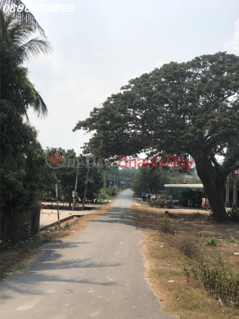 Discount floor collapse for a beautiful plot of land in Tay Ninh !!! _0