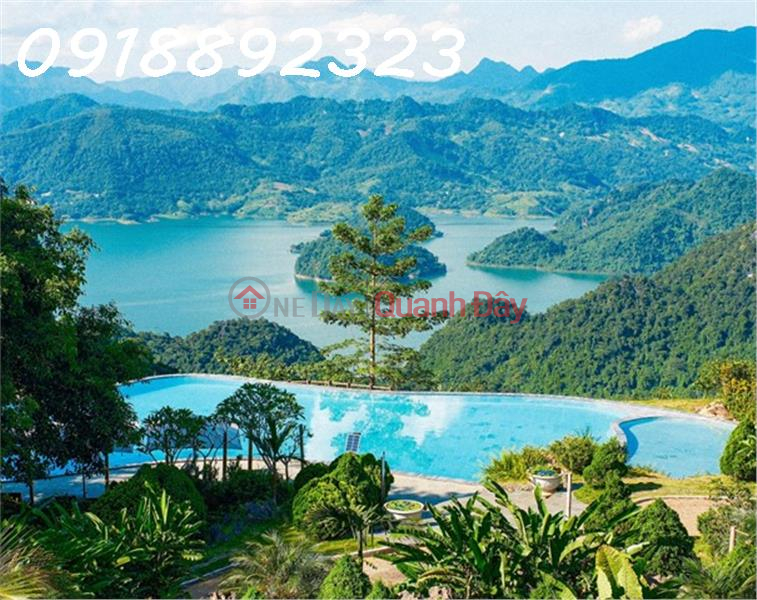 Why Invest in Hoa Binh Now? Sales Listings (843-0337491744)