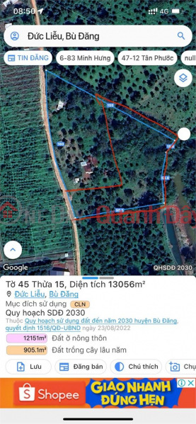 Owner quickly sells durian garden Bu Dang Binh Phuoc 6800m2 1.9 billion | Vietnam Sales đ 1.9 Billion