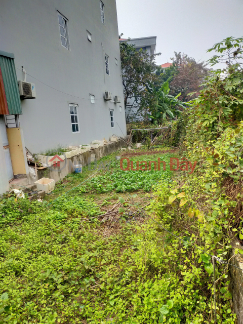 Clear alley, cars avoid, 7 seats to enter the house, Thuy Phuong 55m2, price 2.9 billion _0