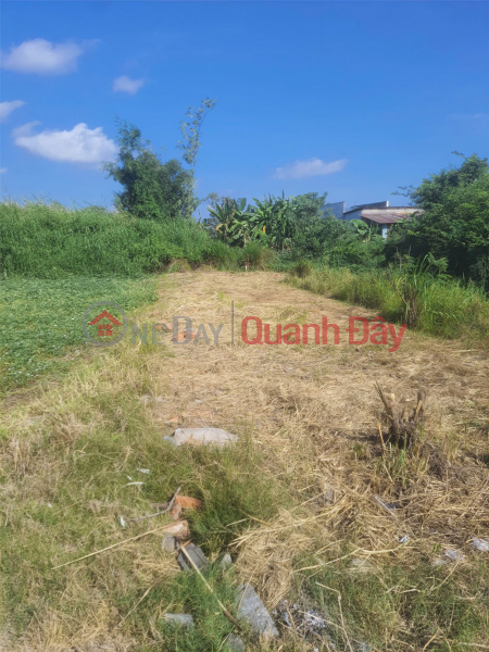 HOT DEAL! PRIME LAND FOR SALE - OWNER NEEDS TO SELL LAND in Hung Long Commune, Binh Chanh District, Ho Chi Minh City Sales Listings