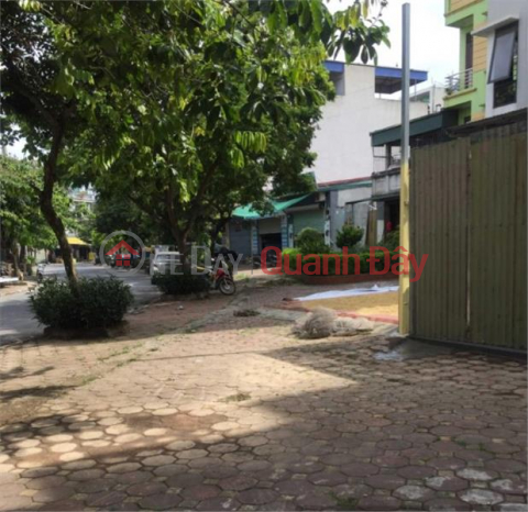 For Sale 38m of Quynh Do Land, Dep Square Book, Nong Lane, Investment Price _0