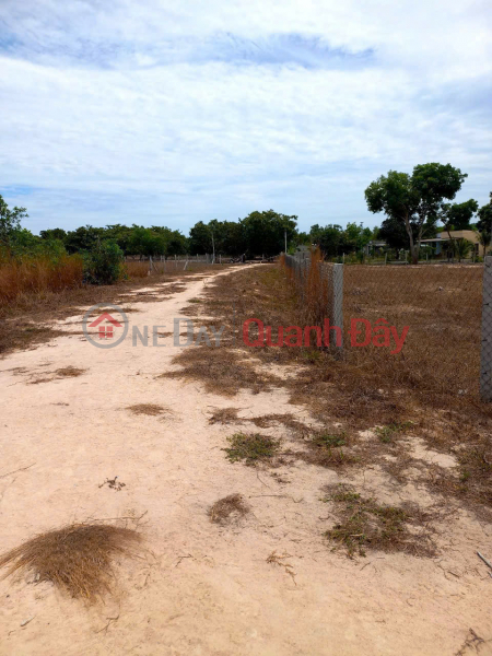BEAUTIFUL LAND - GOOD PRICE - OWNER NEEDS TO SELL 2 LOTS OF LAND IN TAN BINH COMMUNE AND PHUOC TIEN COMMUNE - La Gi Town Sales Listings