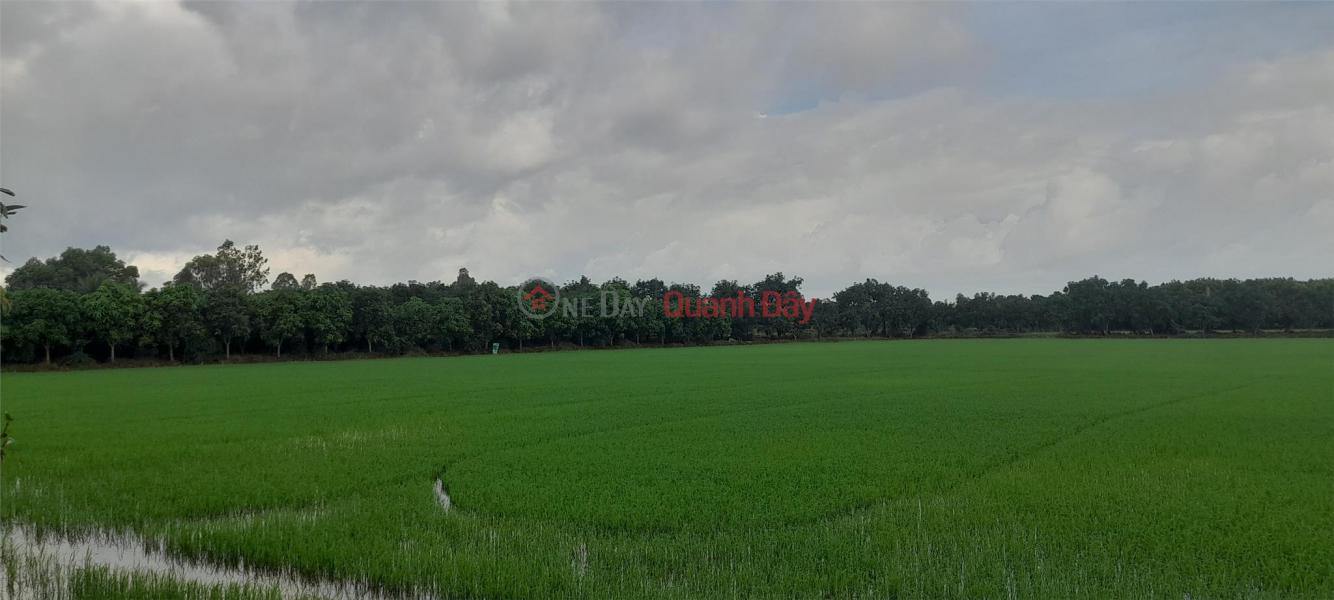 OWNER FAST SELLING BEAUTIFUL LOT OF LAND - GOOD PRICE IN O Long VY Commune, Chau Phu District, An Giang Sales Listings