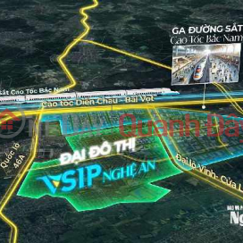 Corner plot for sale on the orchid business street in Visip, Nghe An. _0