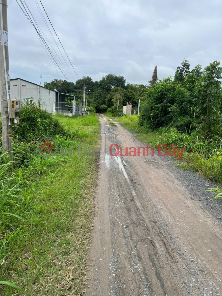 BEAUTIFUL LAND - GOOD PRICE - Owner Needs to Quickly Sell Land Lot in Long Giao Hamlet, Long Chu, Ben Cau, Tay Ninh Sales Listings