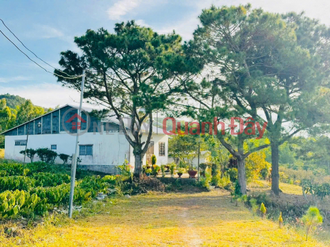 725TR - Anticipating the highway interchange - Residential land near Da Lat is now only a matter of days away. _0