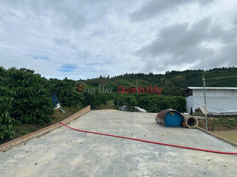 Property Search Vietnam | OneDay | Residential | Sales Listings | Selling 21000m2 (21 sao) of land, house, pond, coffee garden - Lien Hiep Commune - Duc Trong Lam Dong